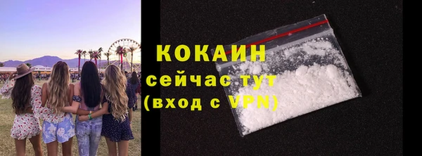 гидра Аркадак
