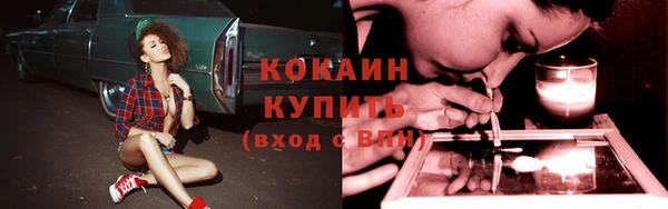 гидра Аркадак