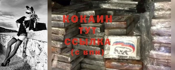 гидра Аркадак
