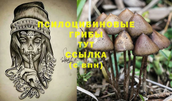 mix Армянск