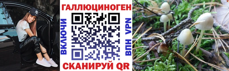 где можно купить наркотик  ОМГ ОМГ зеркало  Псилоцибиновые грибы MAGIC MUSHROOMS  Свободный 